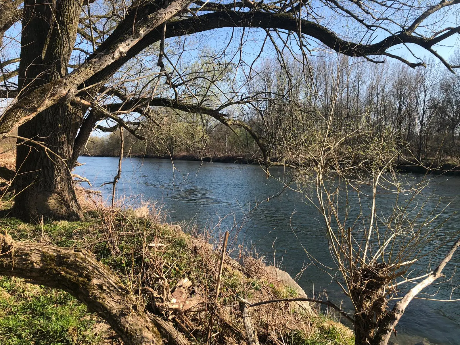 Blick aus den Fluss Ybbs