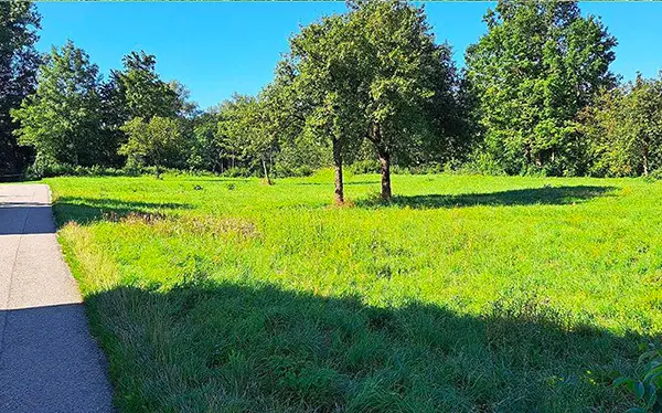 Grundstück an der Ybbs